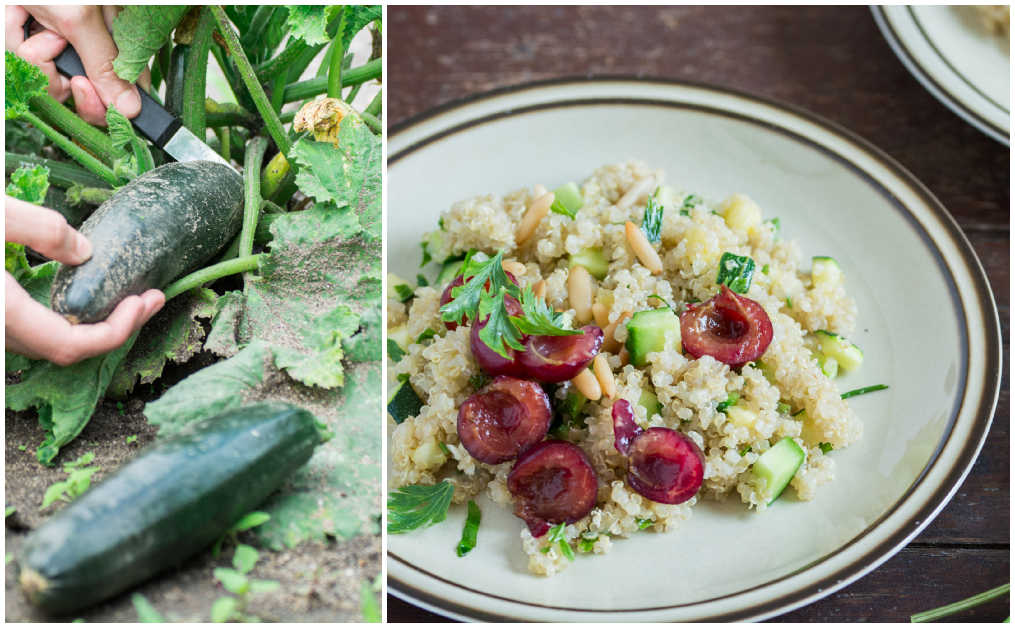 Salată de quinoa cu vișine (vegan / de post)